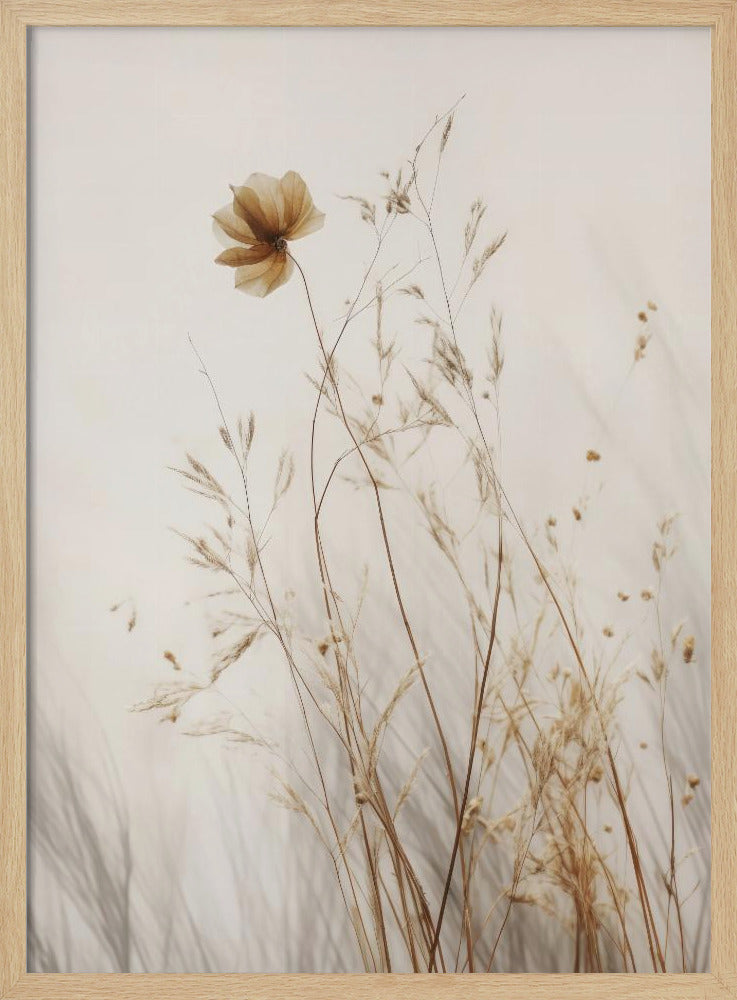 Whispering Petals | Poster