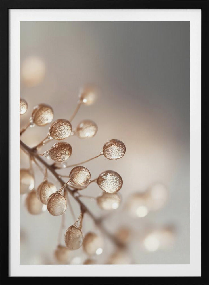 Golden Dewdrops | Poster