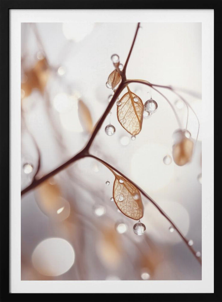 Dew-Kissed Elegance | Poster