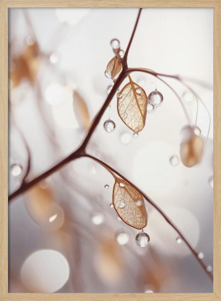 Dew-Kissed Elegance | Poster