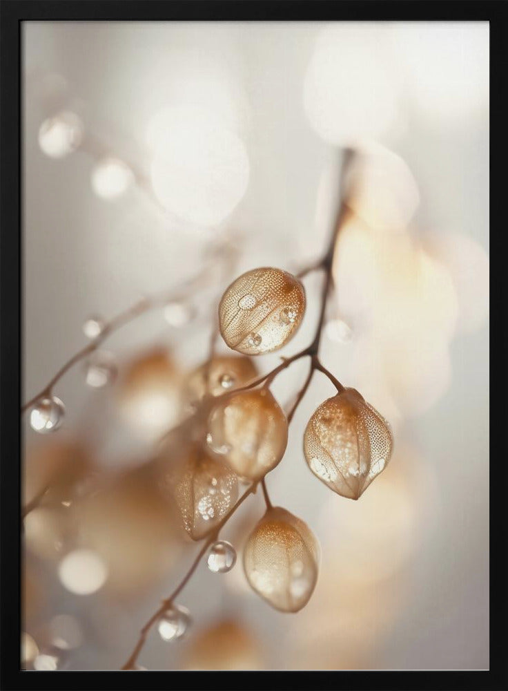 Whispers of Dew | Poster