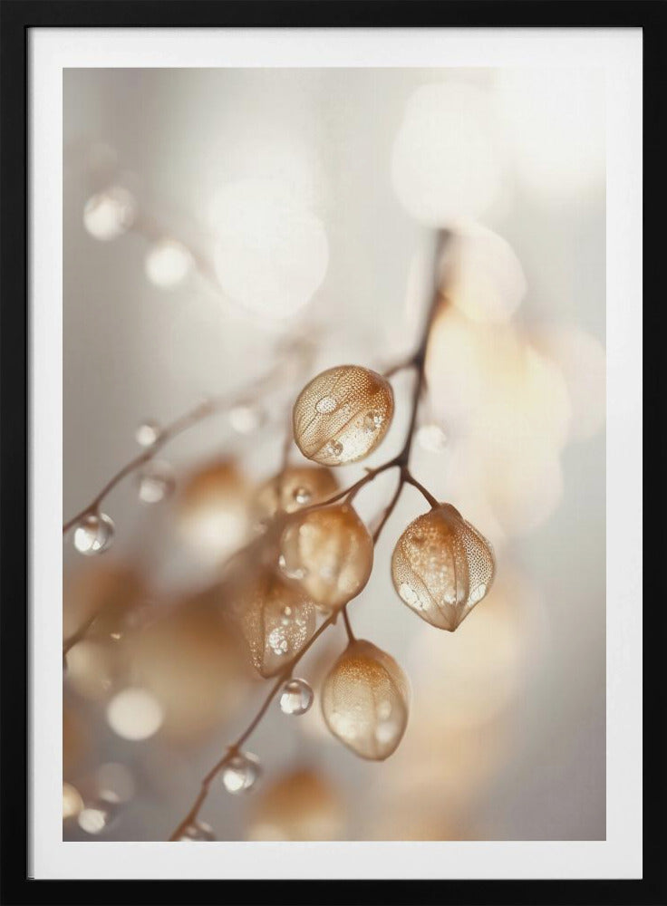 Whispers of Dew | Poster