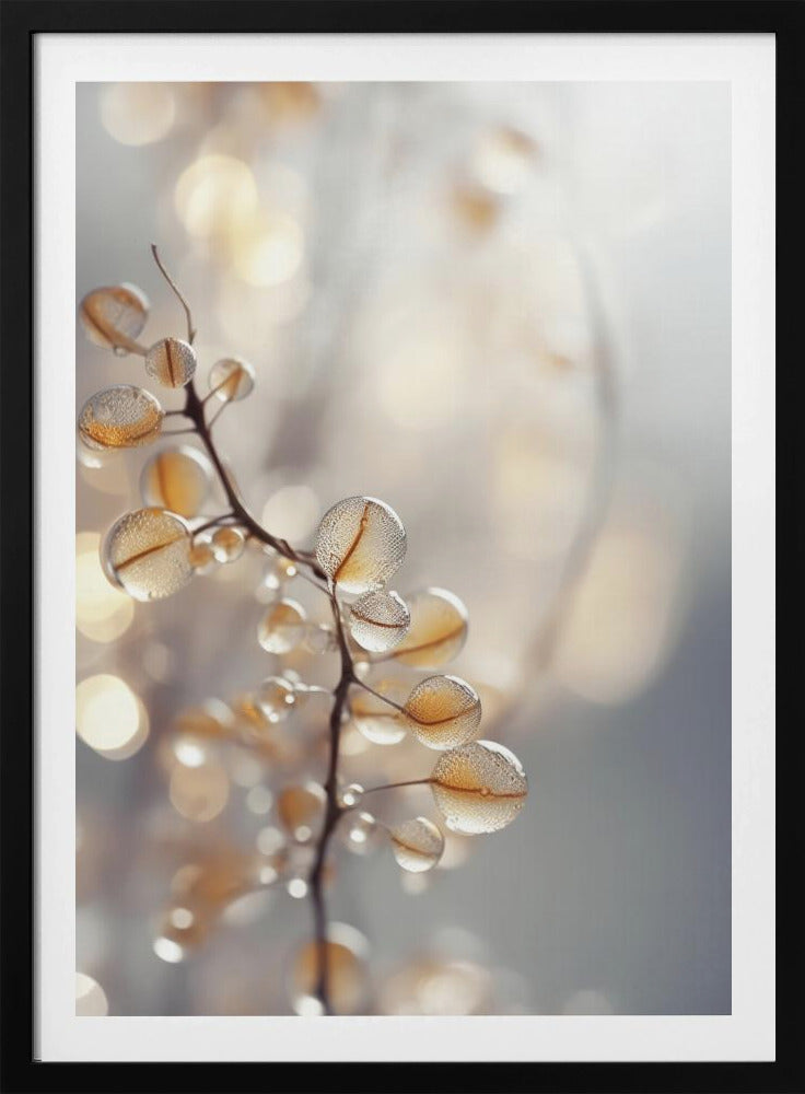 Dewy Petals Shine | Poster