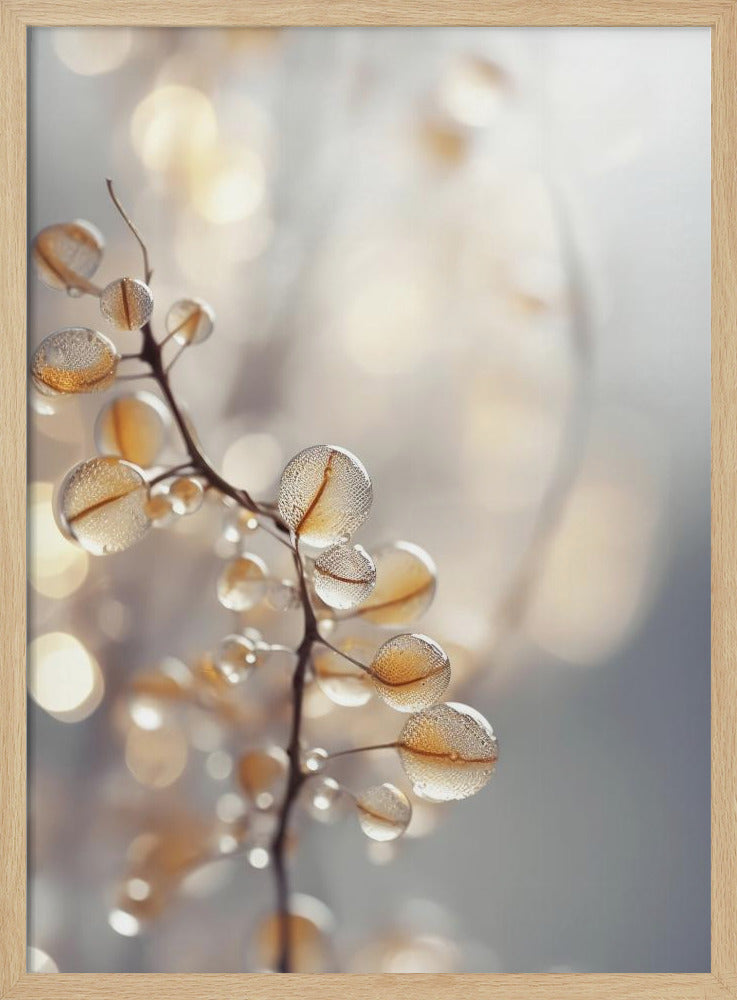 Dewy Petals Shine | Poster