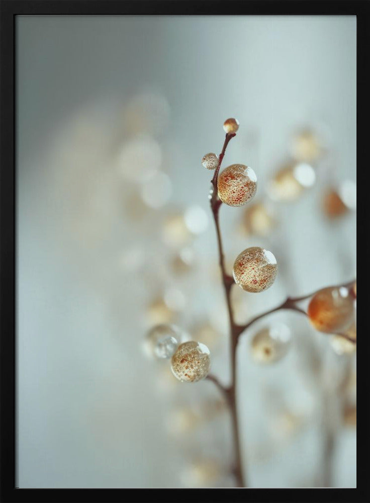 Glowing Dew Drops | Poster