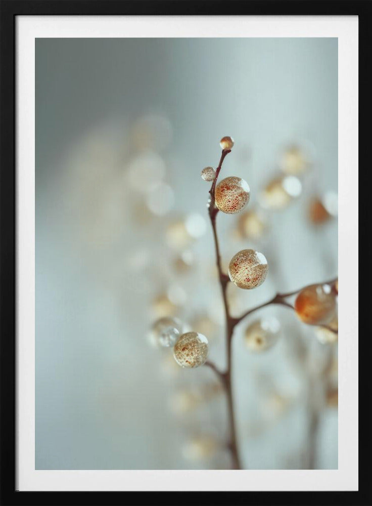 Glowing Dew Drops | Poster