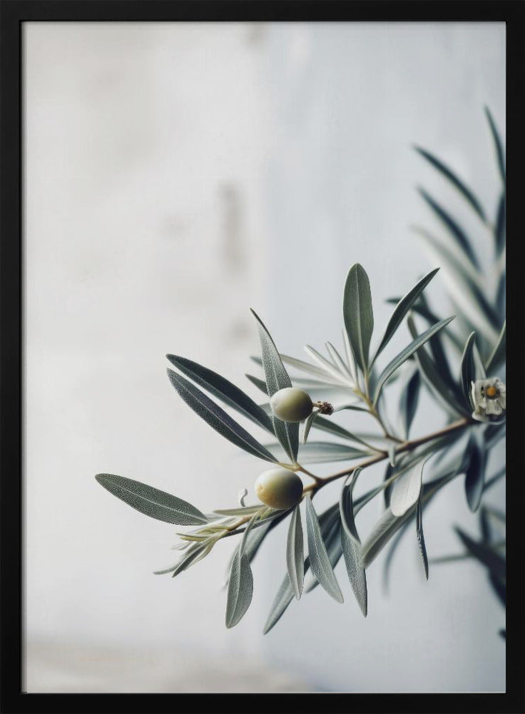 Olive Serenity | Poster