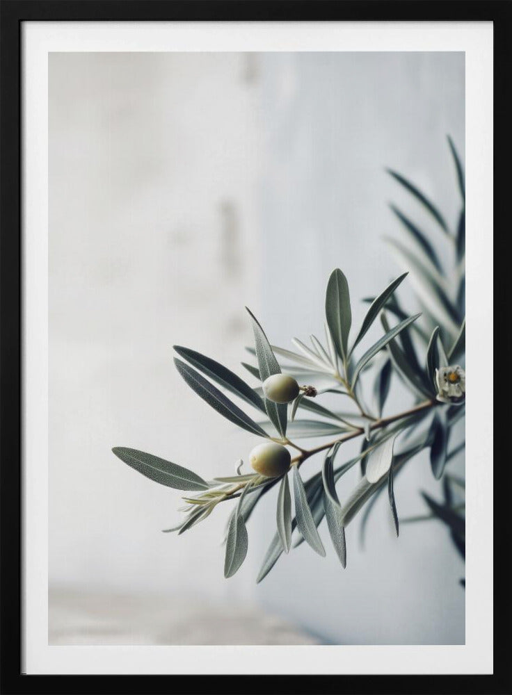 Olive Serenity | Poster