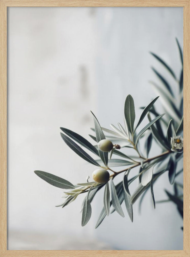 Olive Serenity | Poster