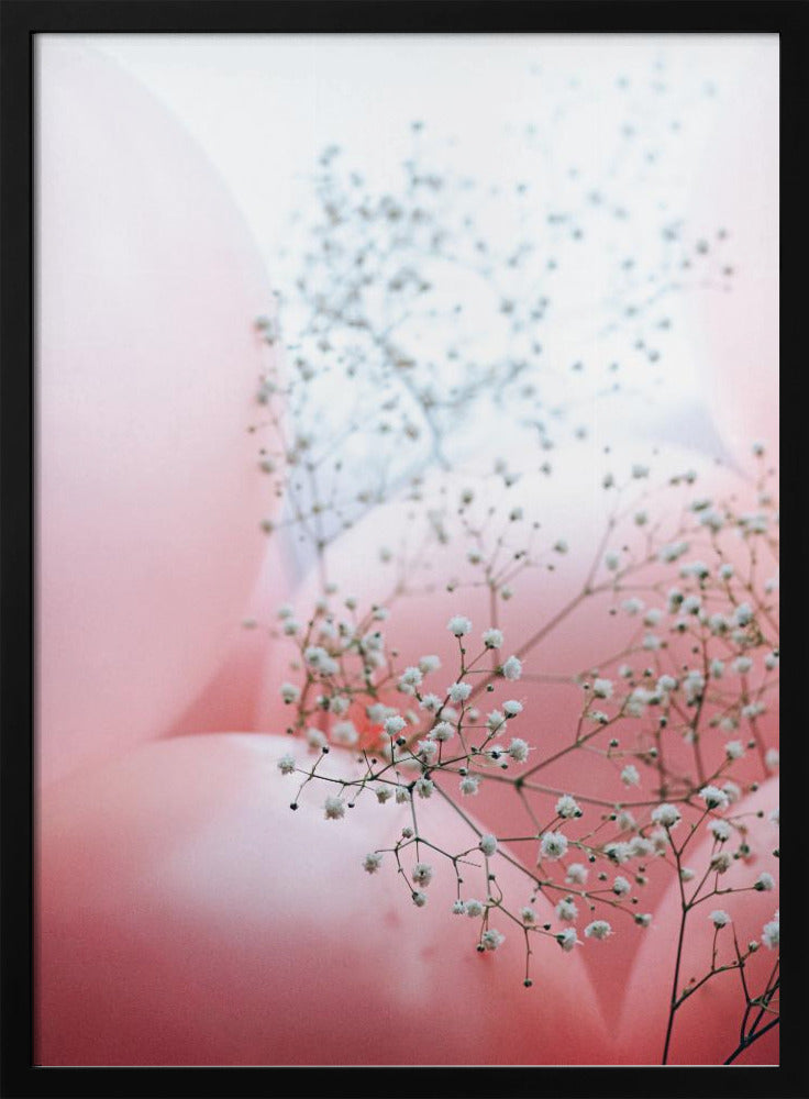 Delicate Balloons with Flower | Poster