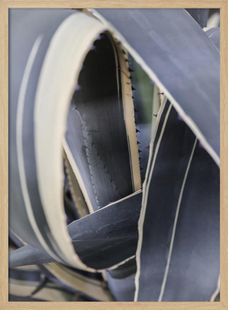 Spiral of Nature | Poster