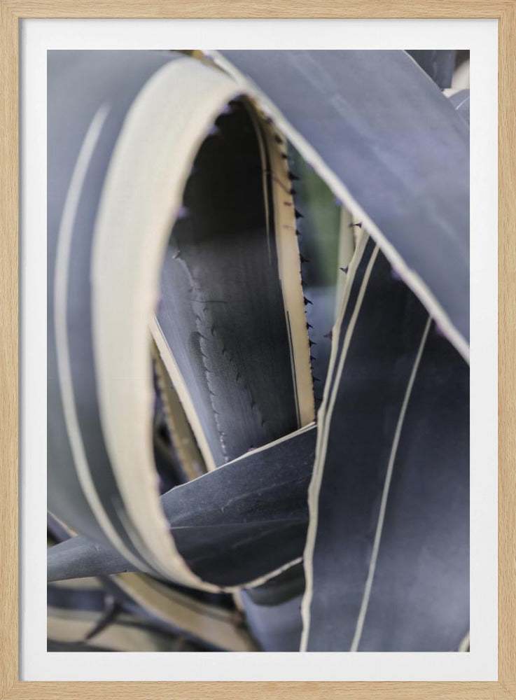 Spiral of Nature | Poster