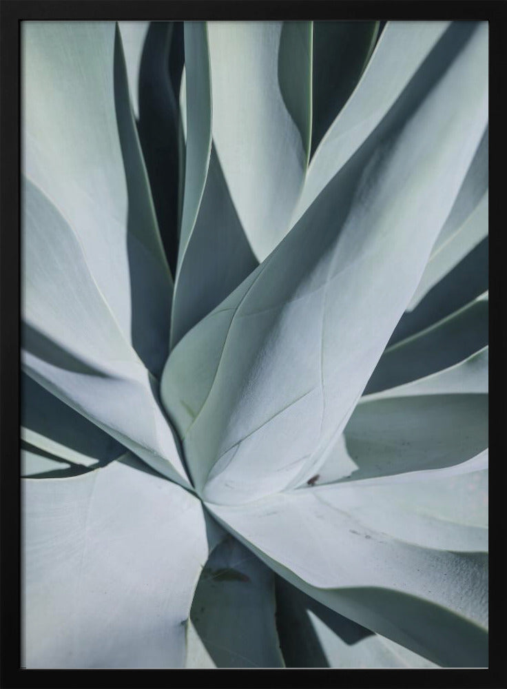 Succulent Symphony | Poster