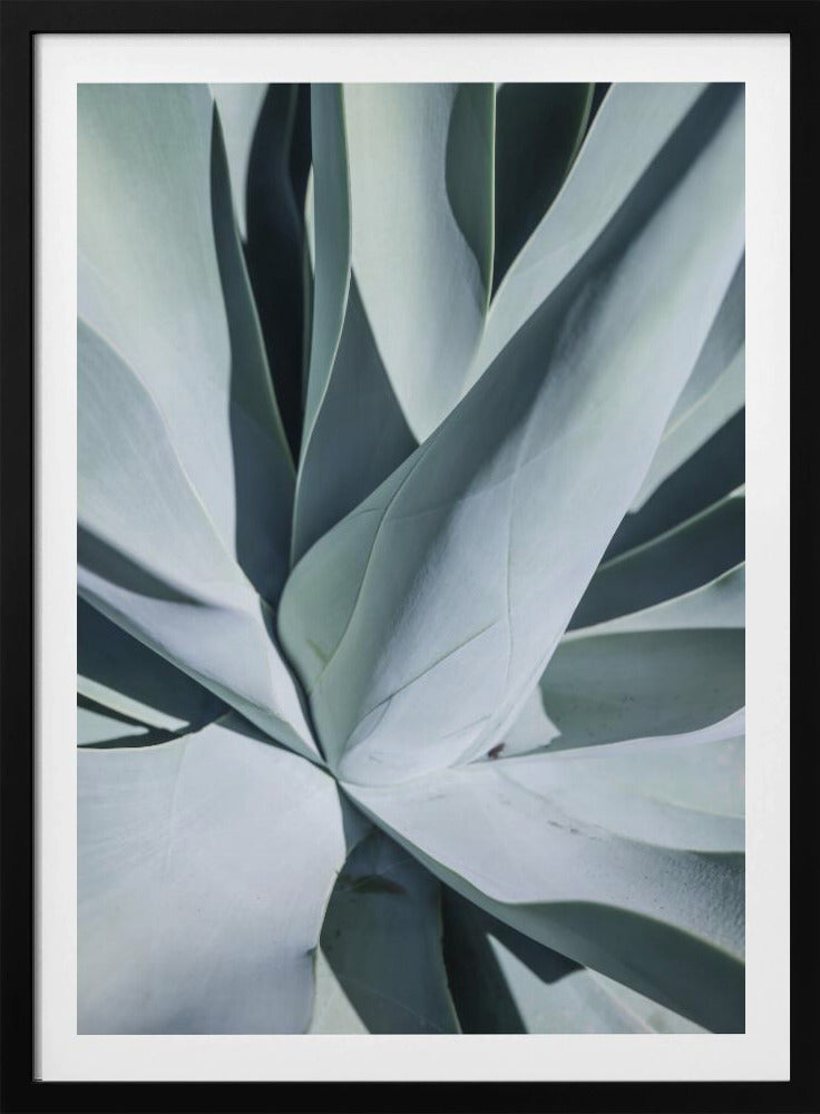 Succulent Symphony | Poster