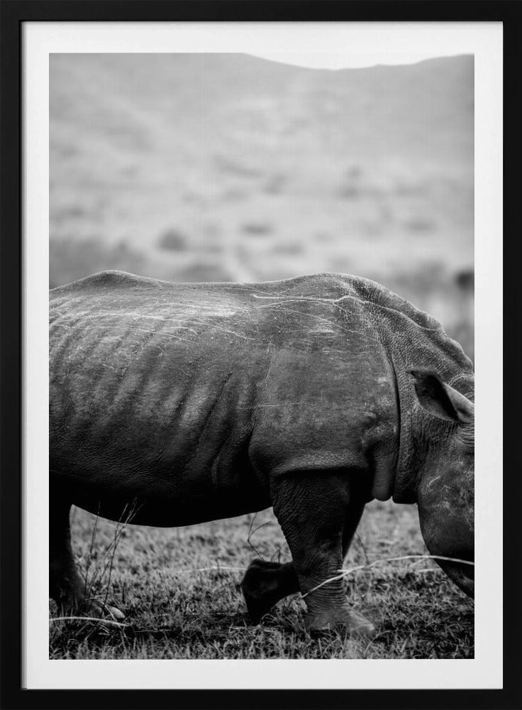 Gentle Giant Stroll | Poster