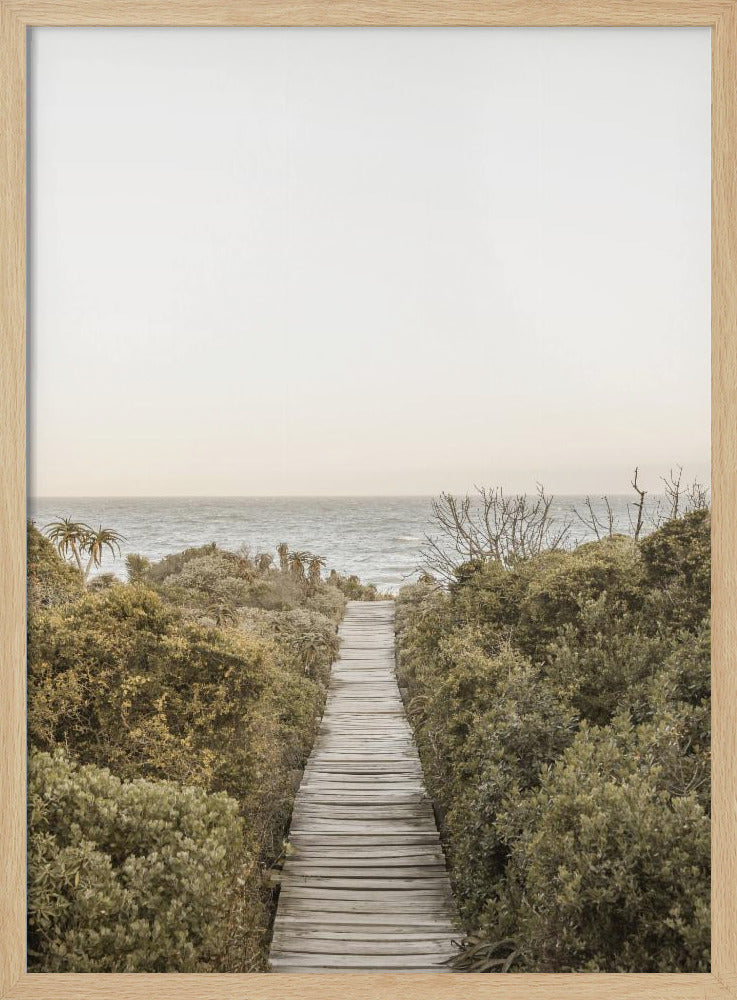 Pathway to Tranquility | Poster
