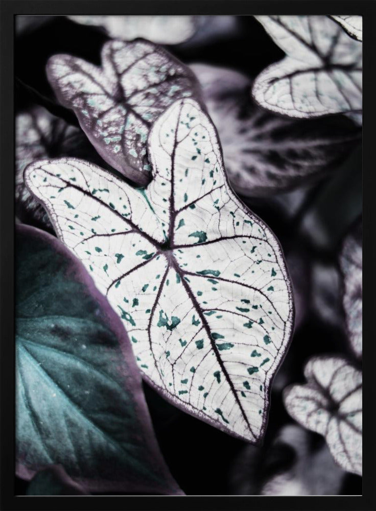 Whispers of Leaves | Poster