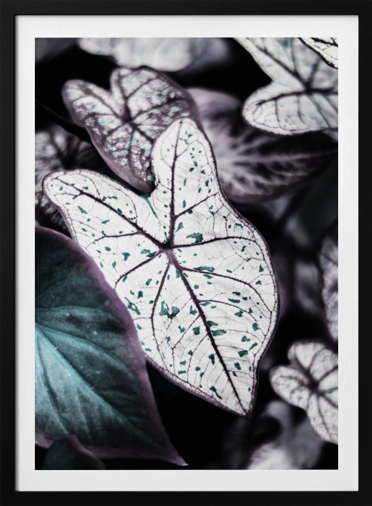 Whispers of Leaves | Poster