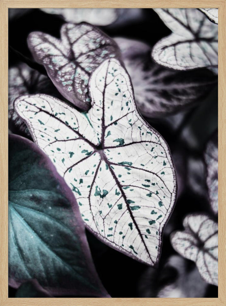 Whispers of Leaves | Poster