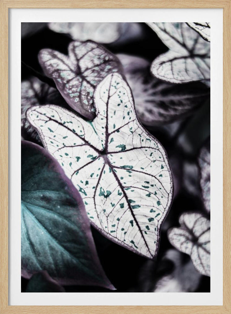 Whispers of Leaves | Poster