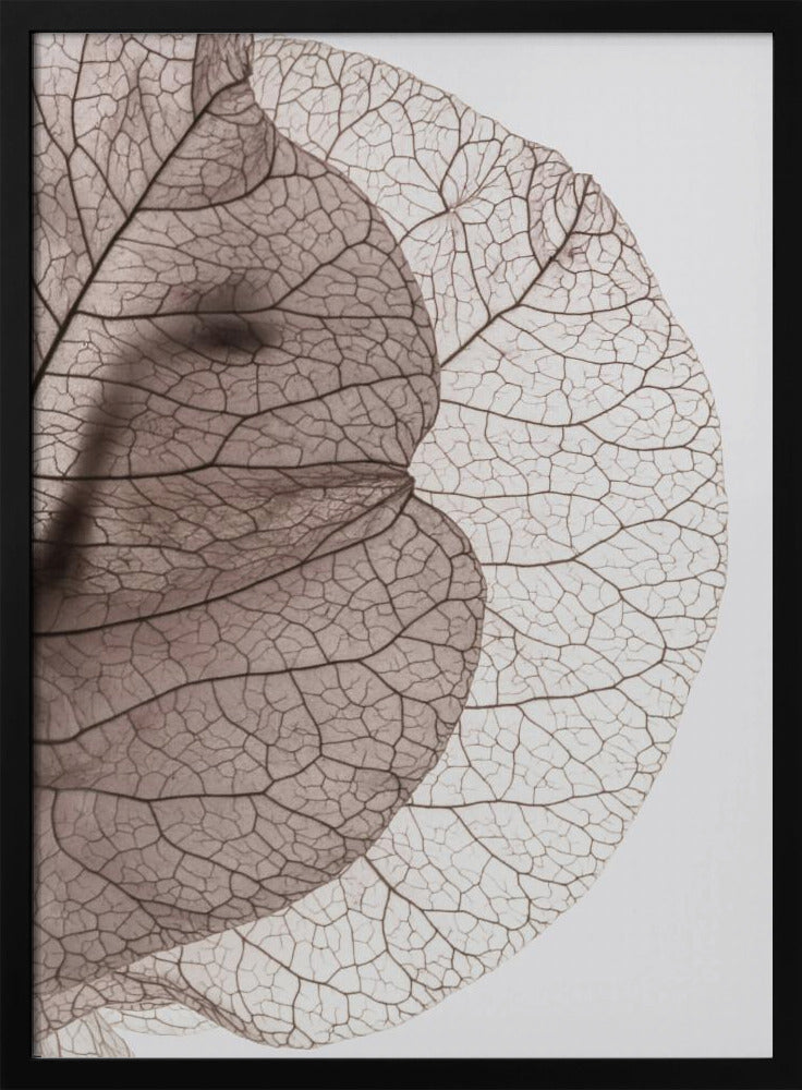 Veins of Nature | Poster