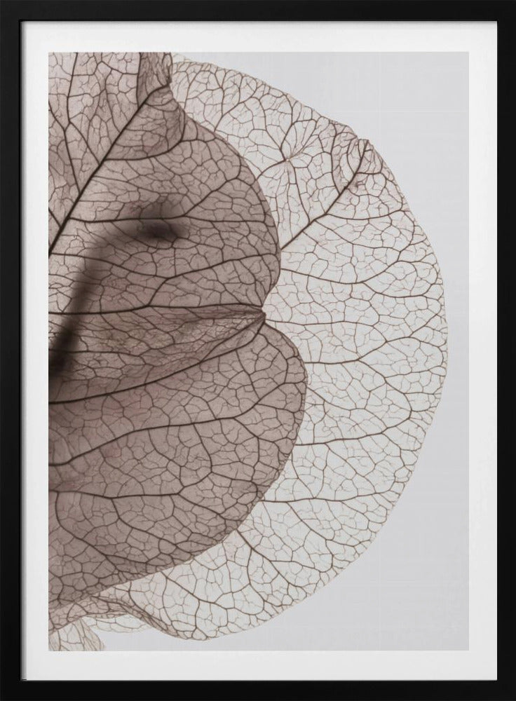 Veins of Nature | Poster