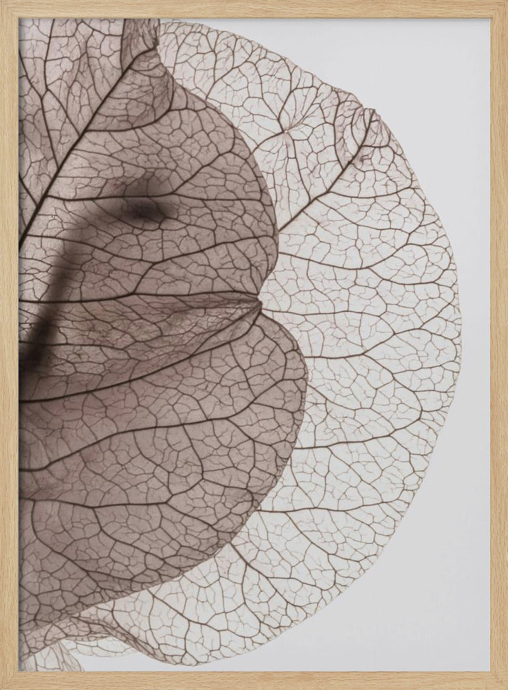 Veins of Nature | Poster