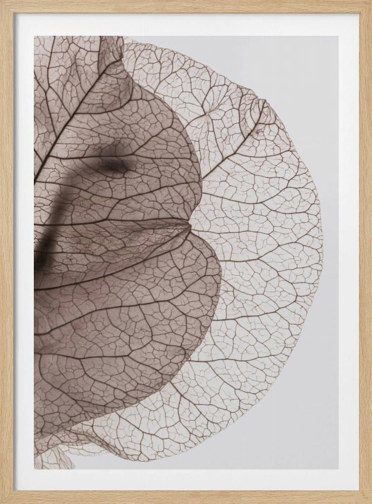 Veins of Nature | Poster