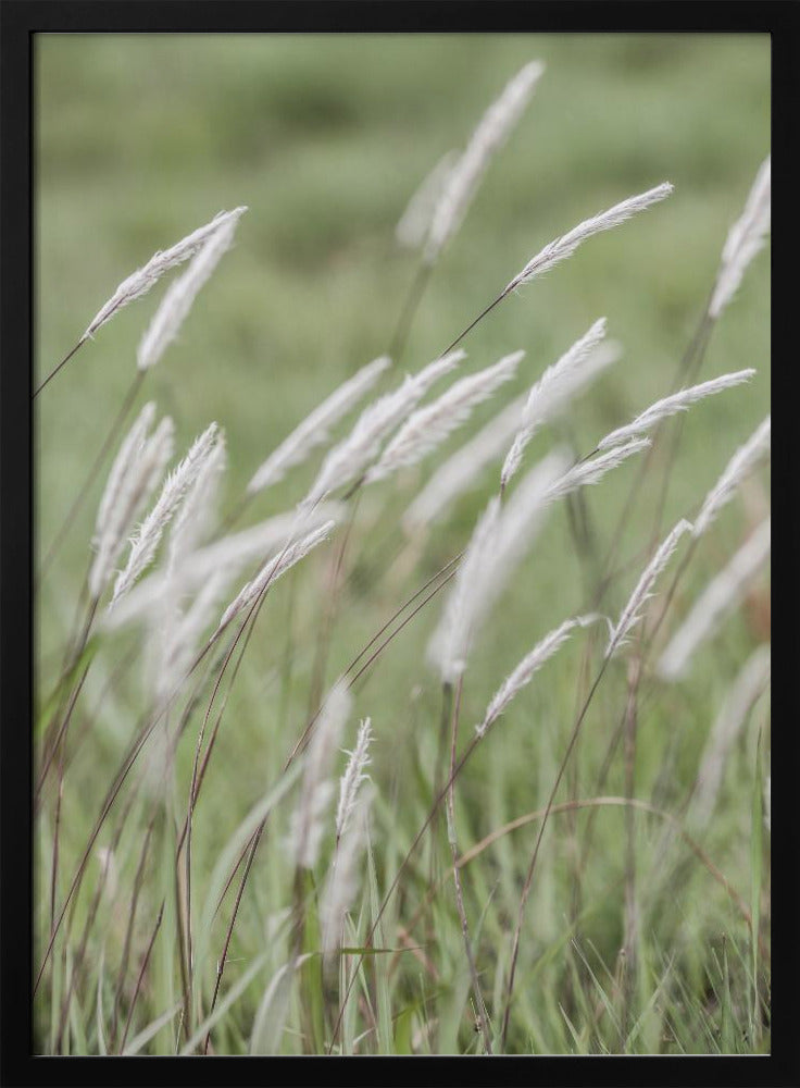 Whispering Meadows | Poster