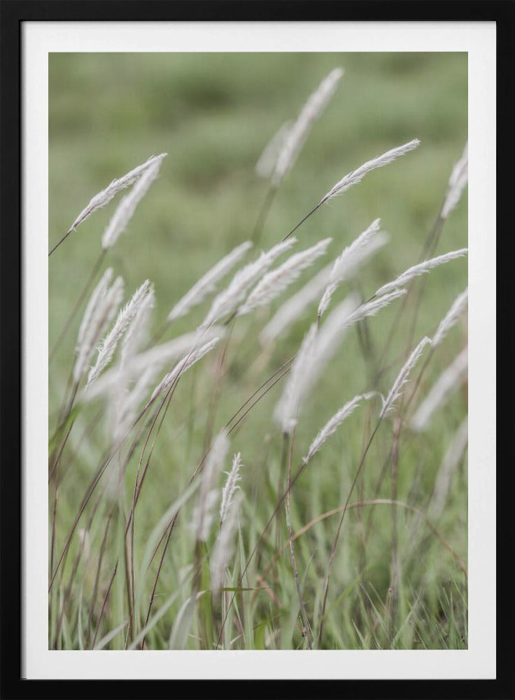 Whispering Meadows | Poster