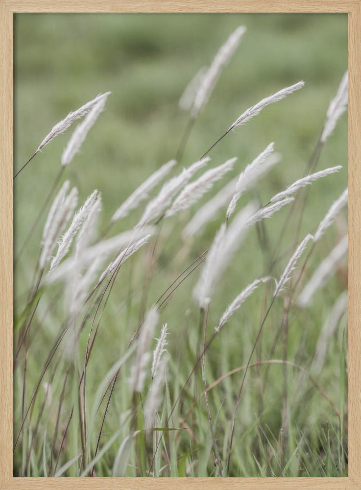 Whispering Meadows | Poster