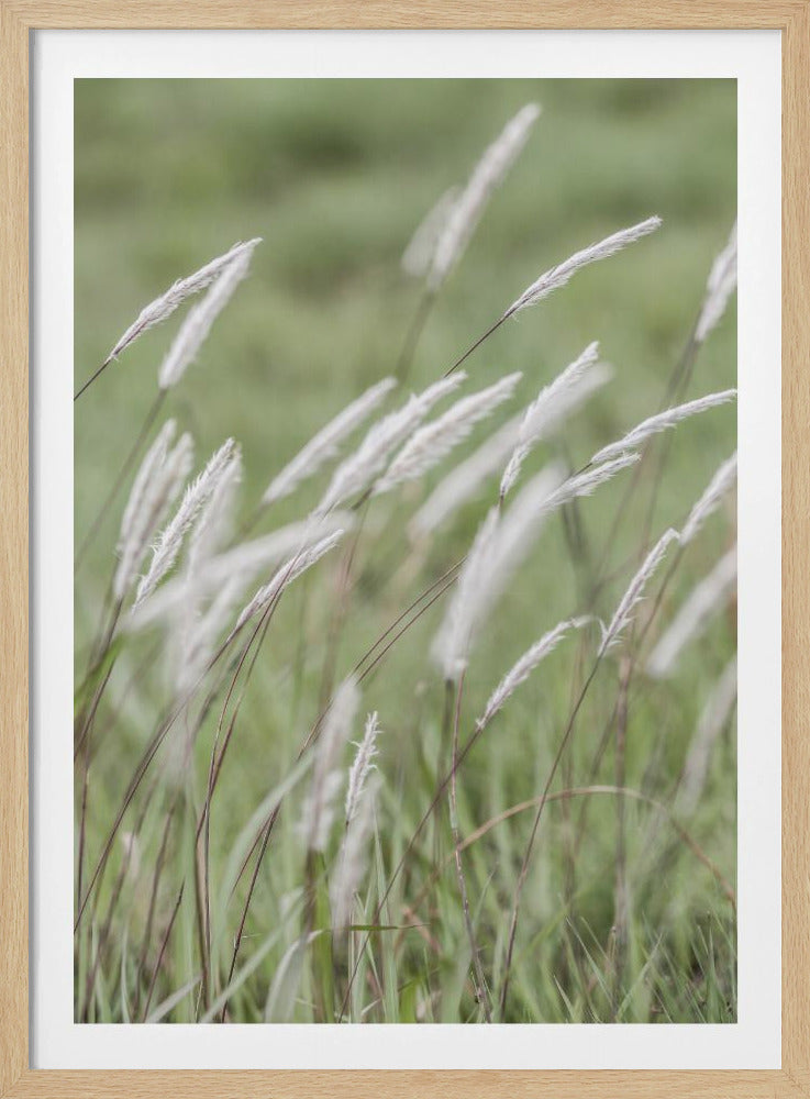 Whispering Meadows | Poster