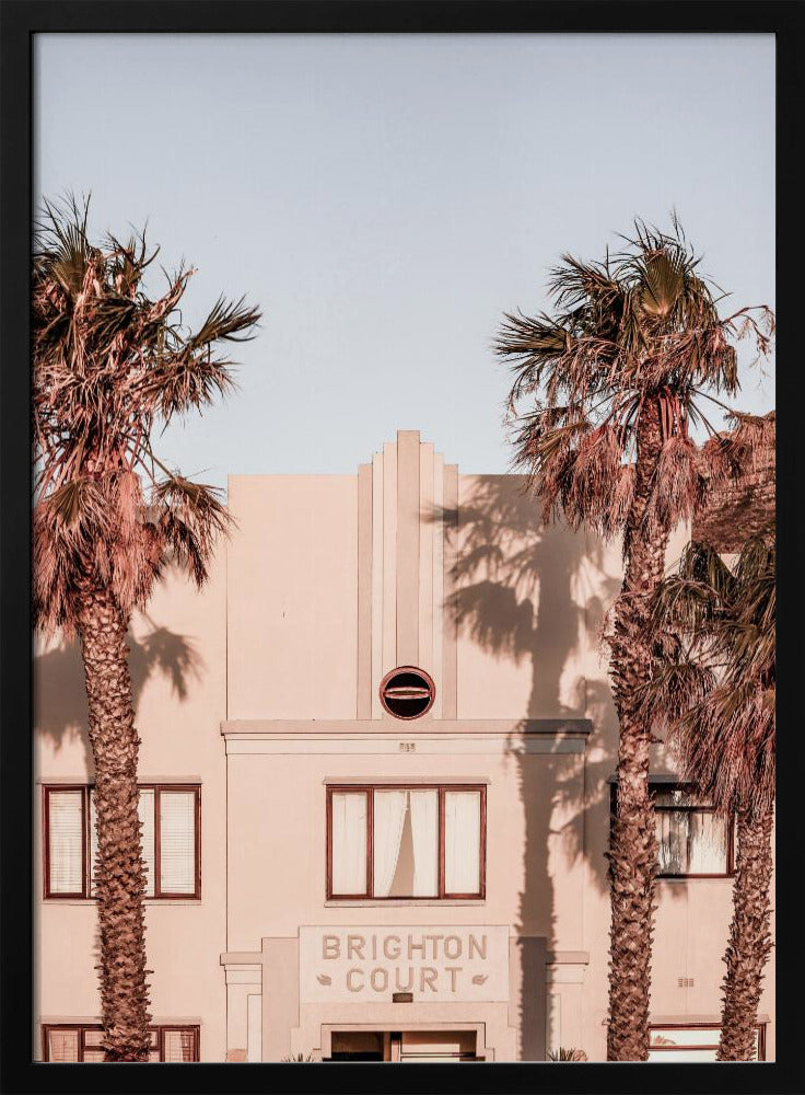 Palm Shadows | Poster