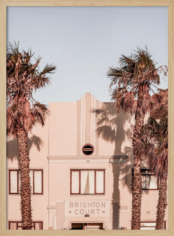 Palm Shadows | Poster