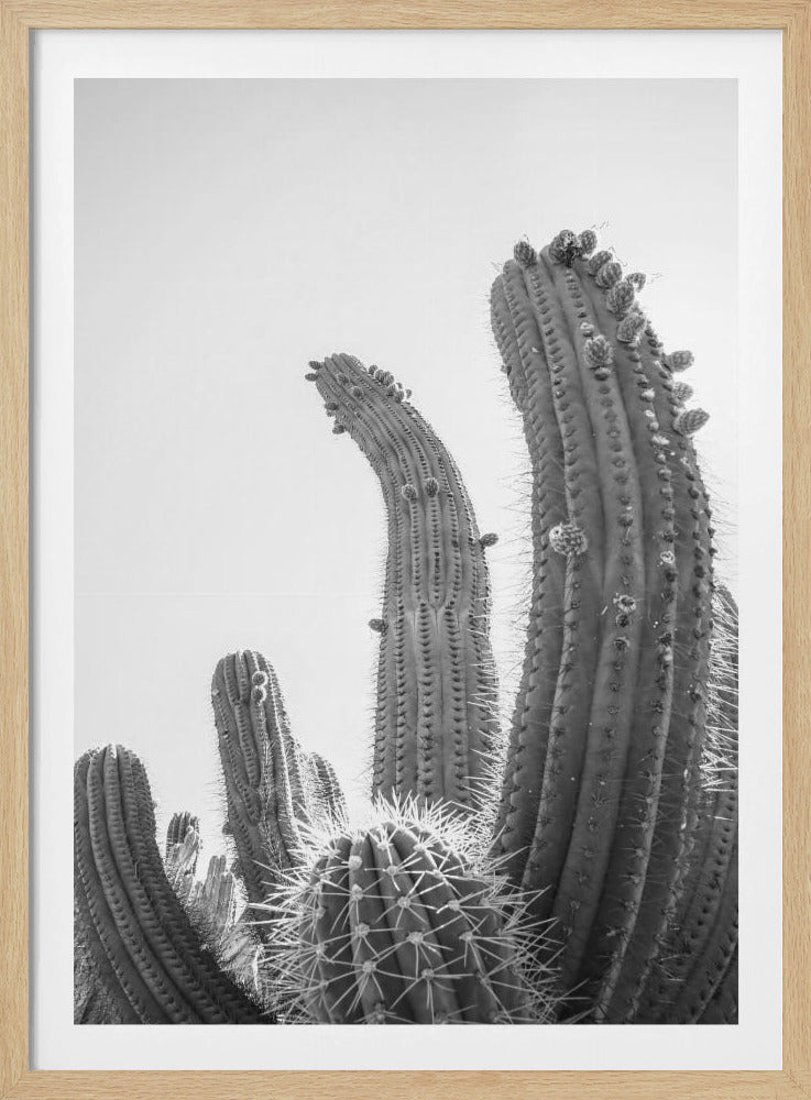 Desert Giants | Poster