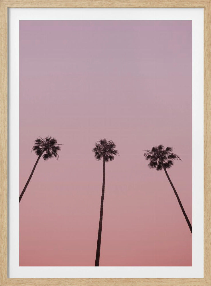 Pink Sky Trio | Poster