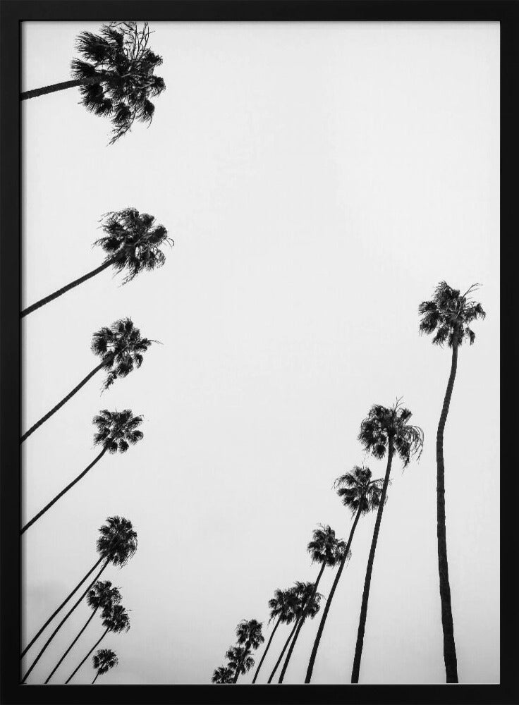 Whispers in the Sky | Poster