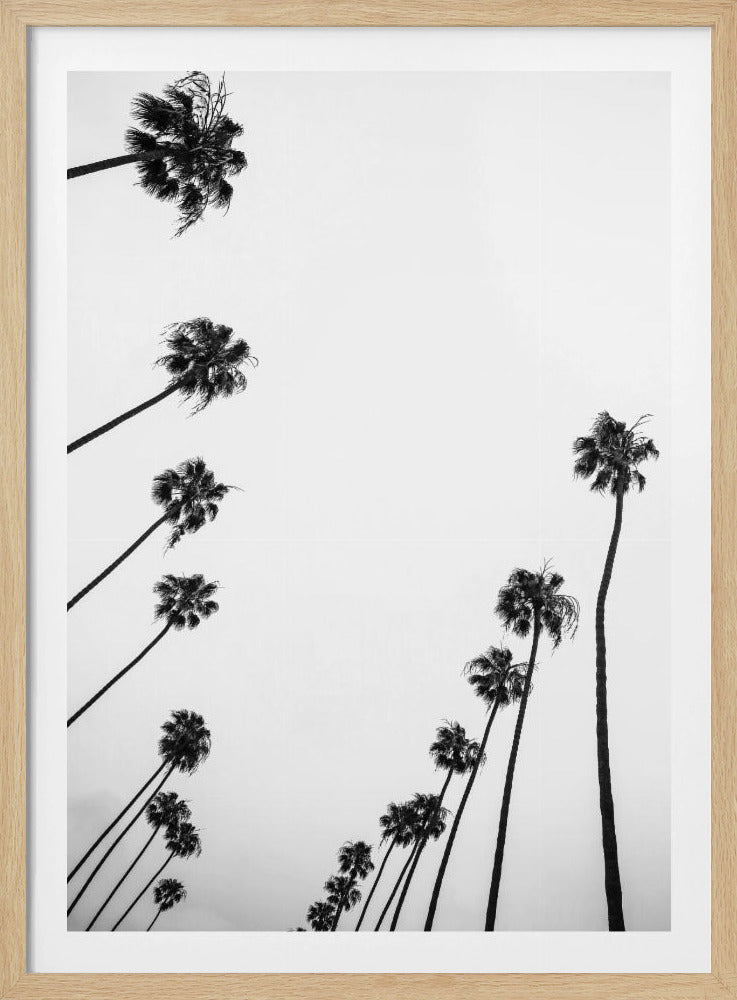 Whispers in the Sky | Poster