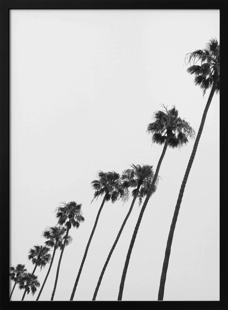 Tall Palm Parade | Poster