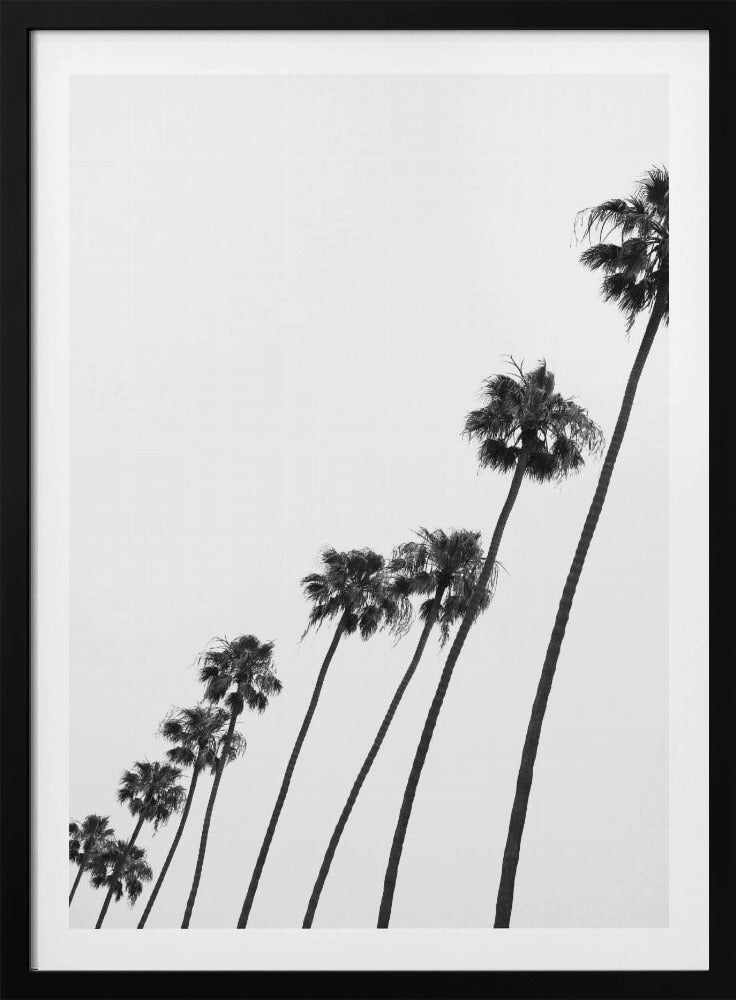 Tall Palm Parade | Poster