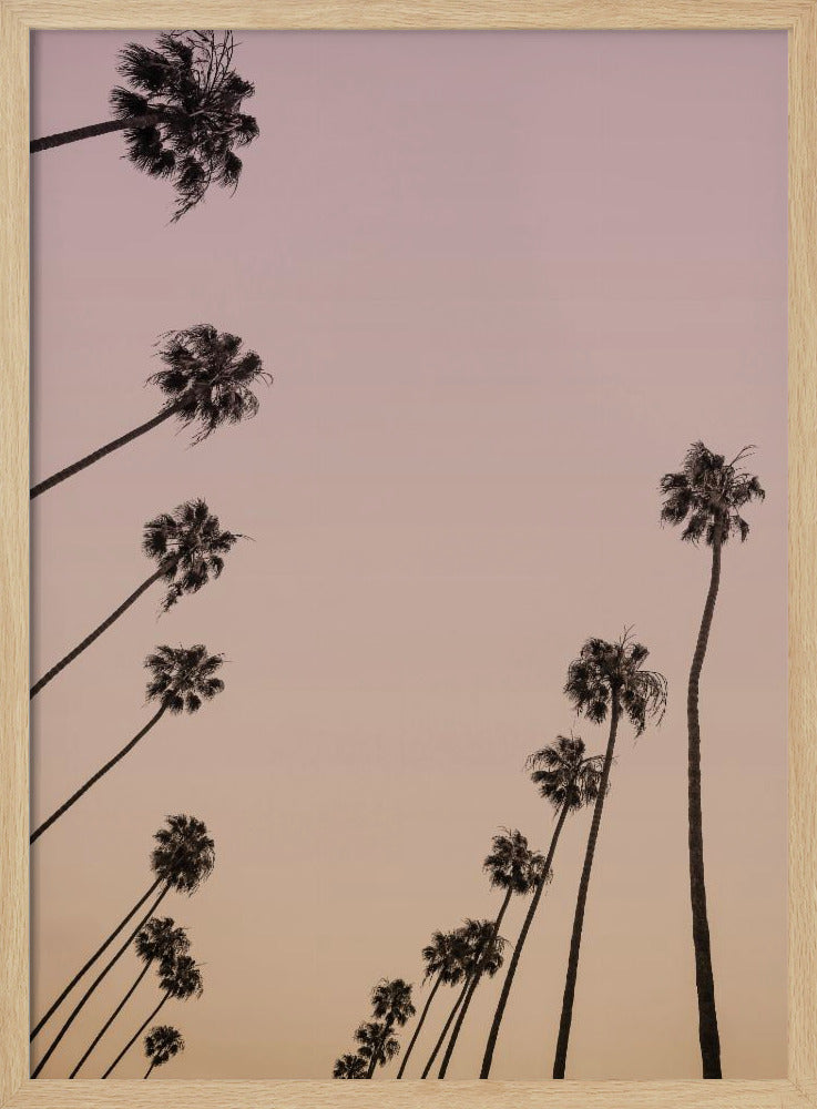 Twilight Palms | Poster