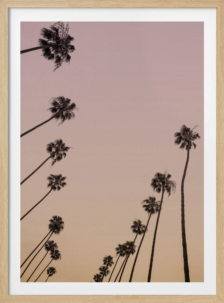 Twilight Palms | Poster