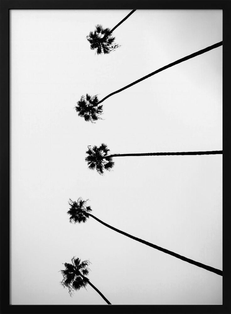 Skyward Palms | Poster