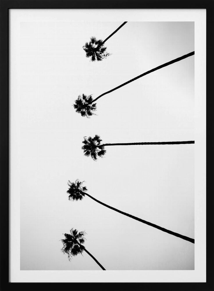 Skyward Palms | Poster