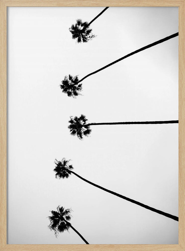 Skyward Palms | Poster