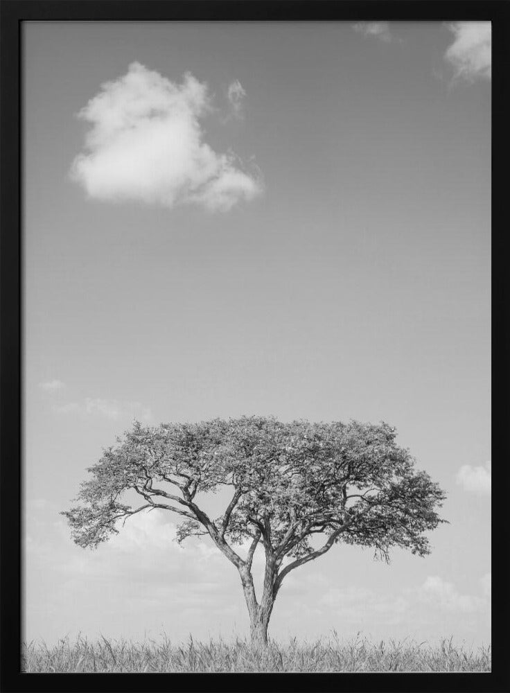 Lonely Tree Dreaming | Poster