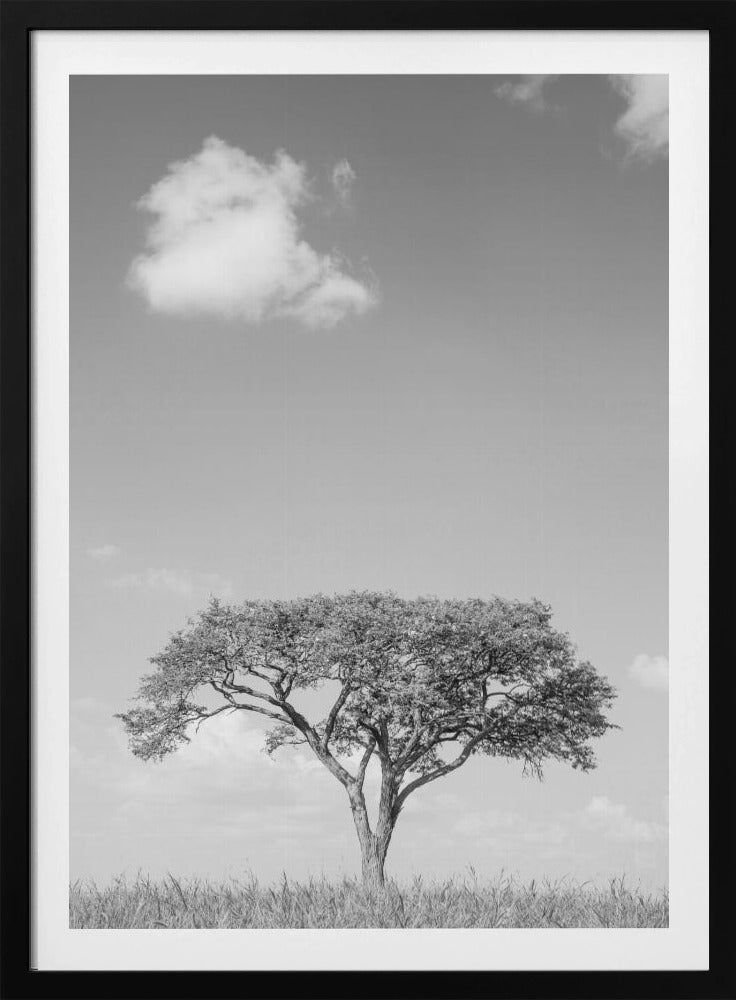Lonely Tree Dreaming | Poster