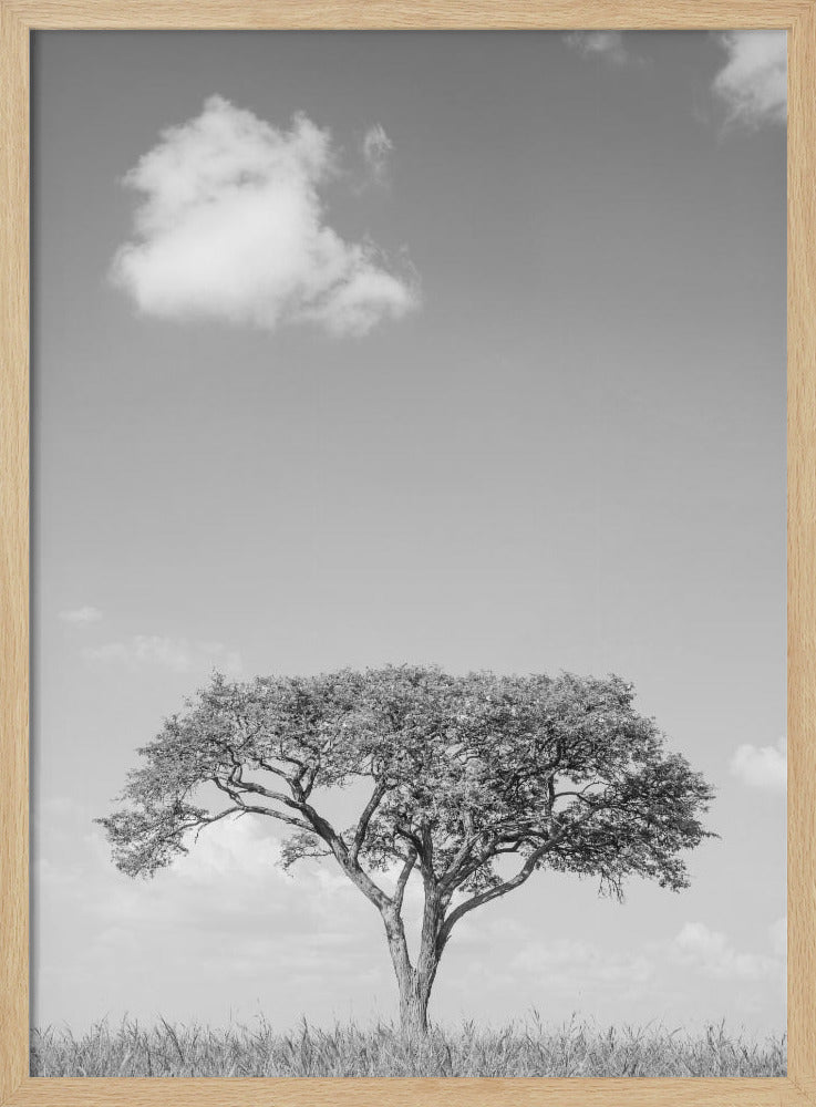Lonely Tree Dreaming | Poster