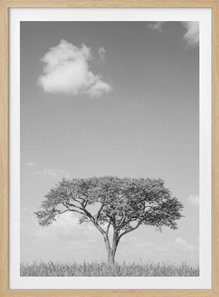 Lonely Tree Dreaming | Poster