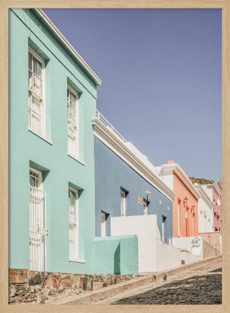 Colorful Street Harmony | Poster